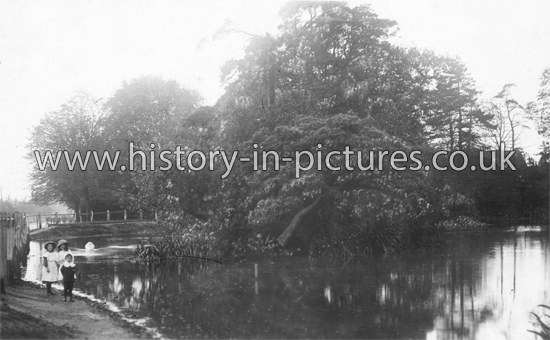 The Pond, Woodford Green, Essex, c.1910's